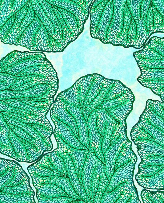 Crown Shyness 25cm Archival Ink & Watercolor Drawing