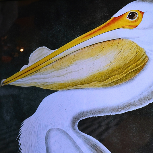 Pelican - Ayna Çerçeveli Vintage Tablo