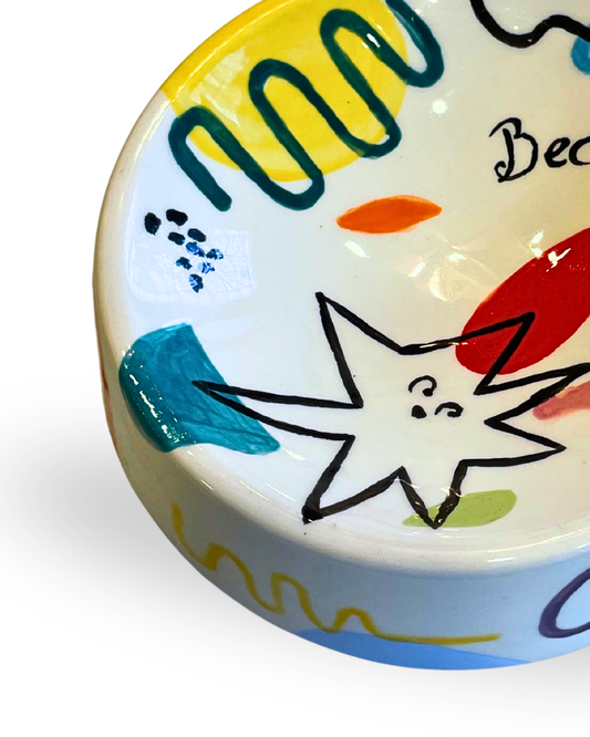 Pawfect Mood Multicolor Ceramic Dog Bowl