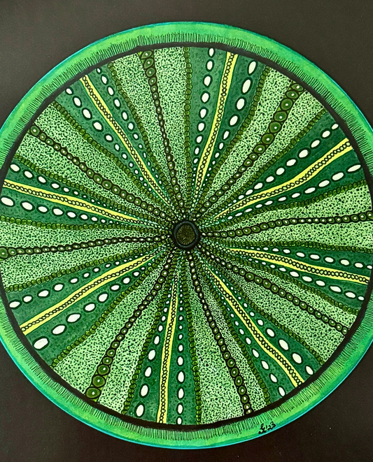 The Urchin 31.5x31.5cm Neo-Organic Marine-Inspired Drawing
