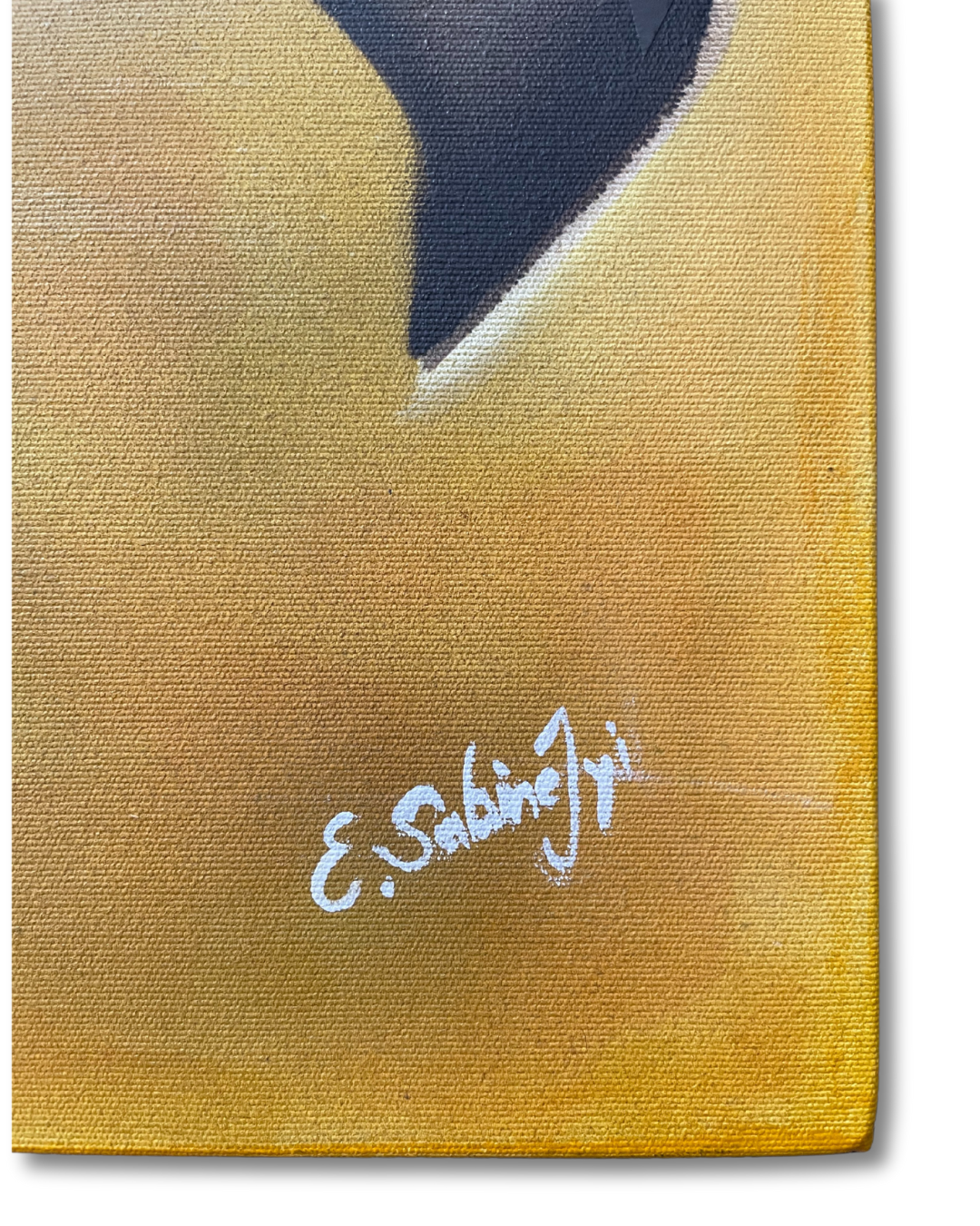 Physical Transformation Painting