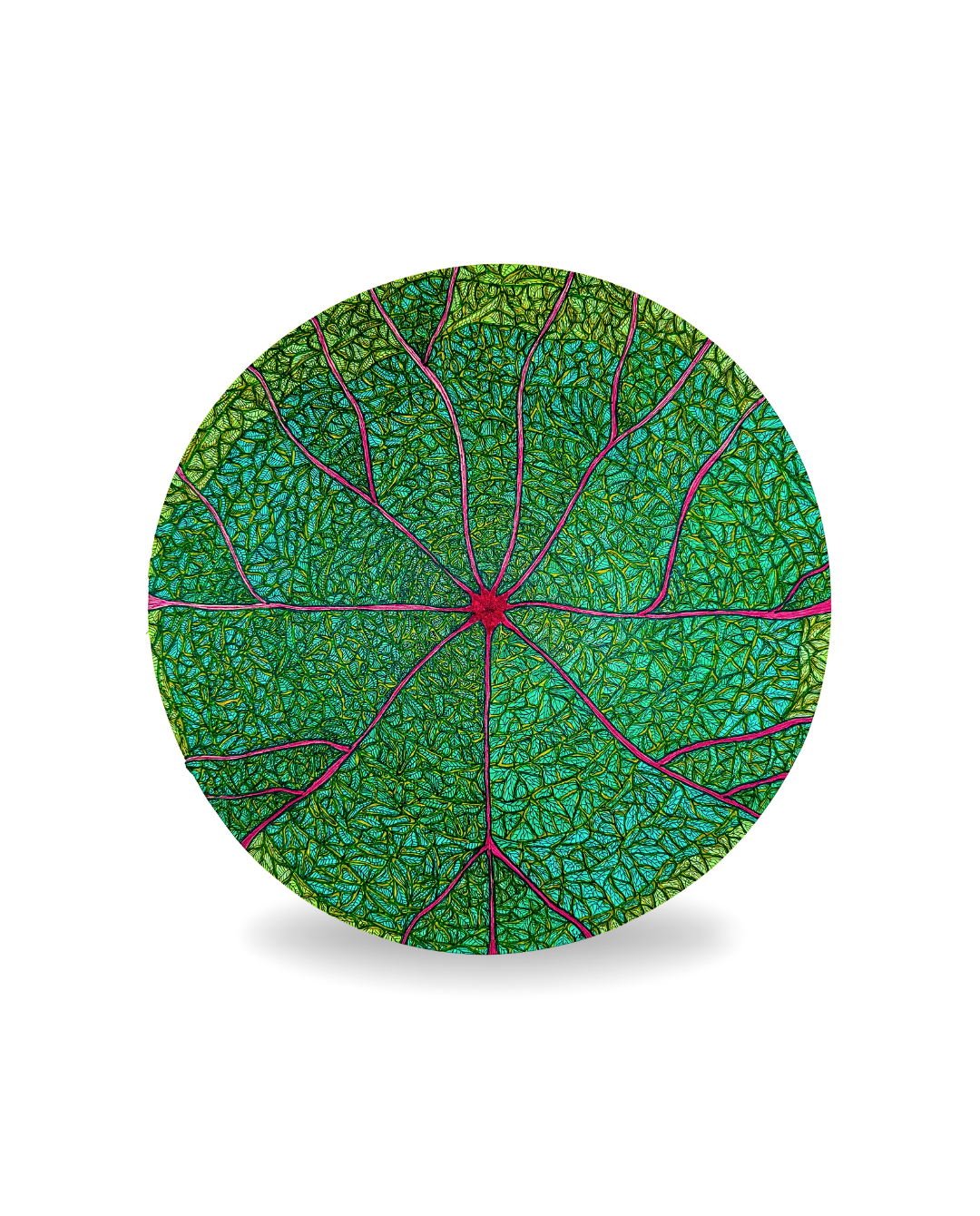 A Leaf 25cm Archival Ink & Watercolor Drawing