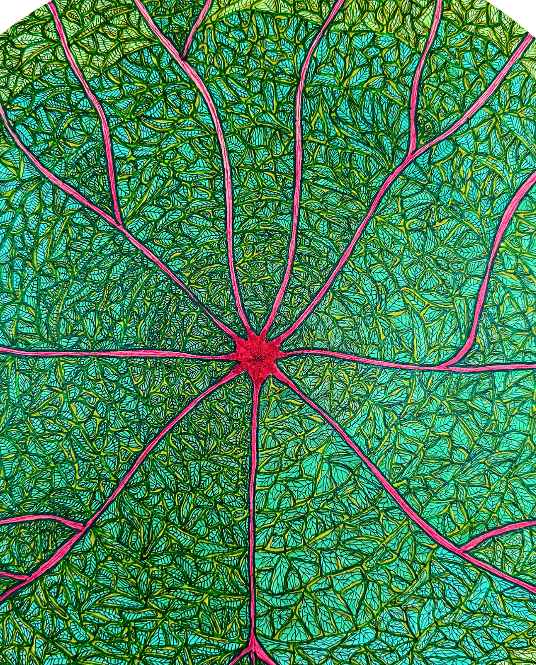 A Leaf 25cm Archival Ink & Watercolor Drawing