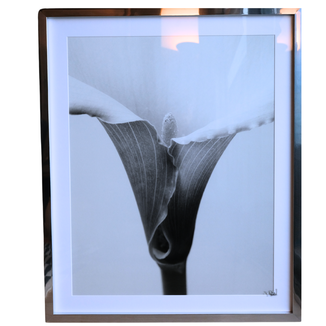 Calla - Vintage Print Tablo