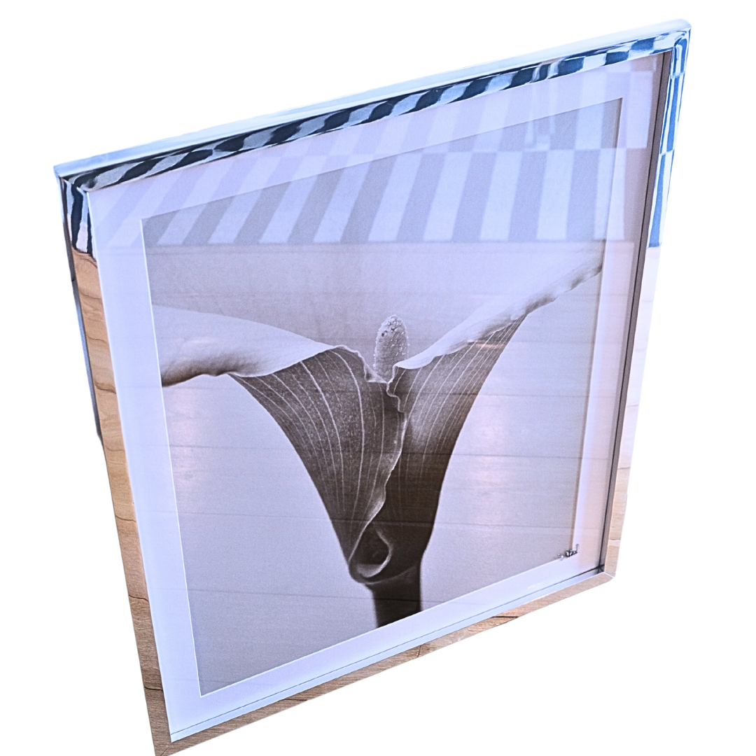 Calla - Vintage Print Tablo