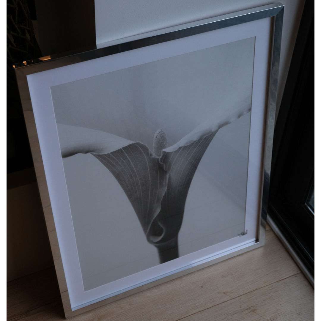 Calla - Vintage Print Tablo