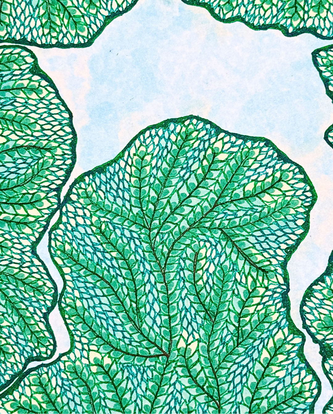 Crown Shyness 25cm Archival Ink & Watercolor Drawing