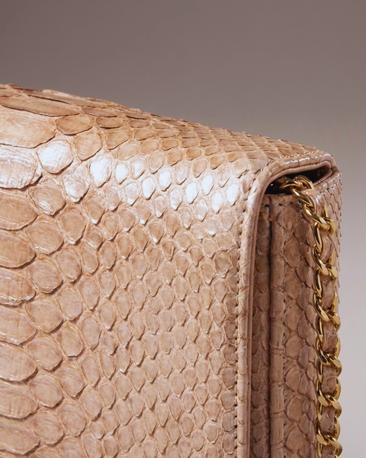 Downing Italian Python Leather Handbag