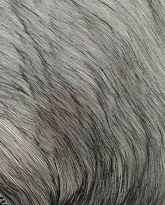 Inside Shrooms 38x46cm Neo-Organic Surrealist Painting