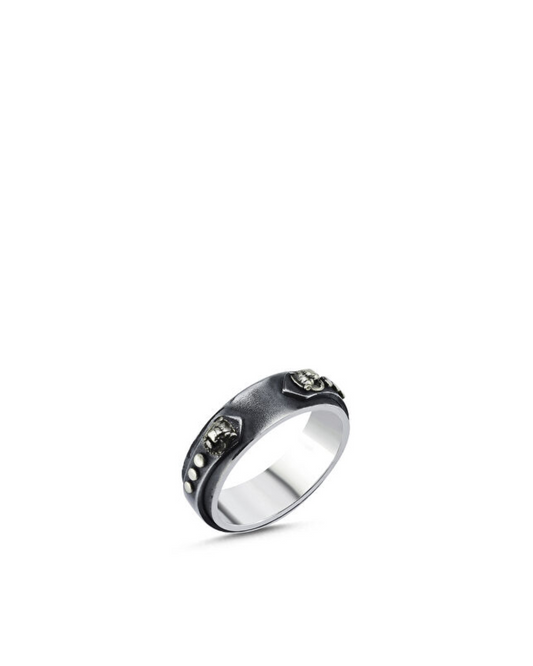 Knight Lion Men’s Silver Ring