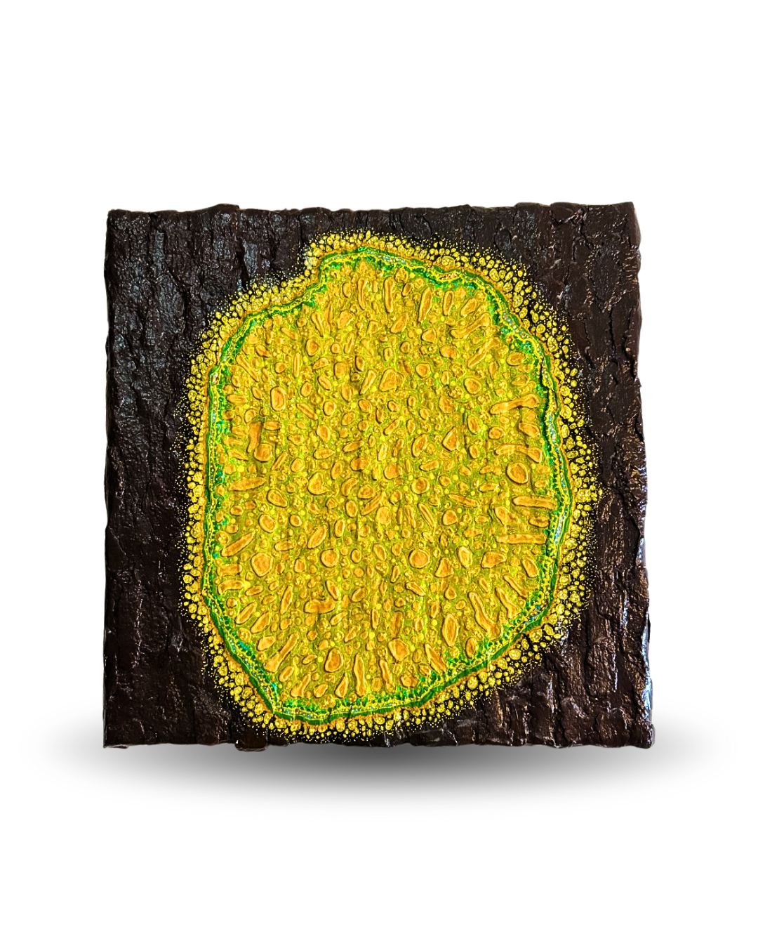 Lichen 40x40cm Neo-Organic Surrealist Painting