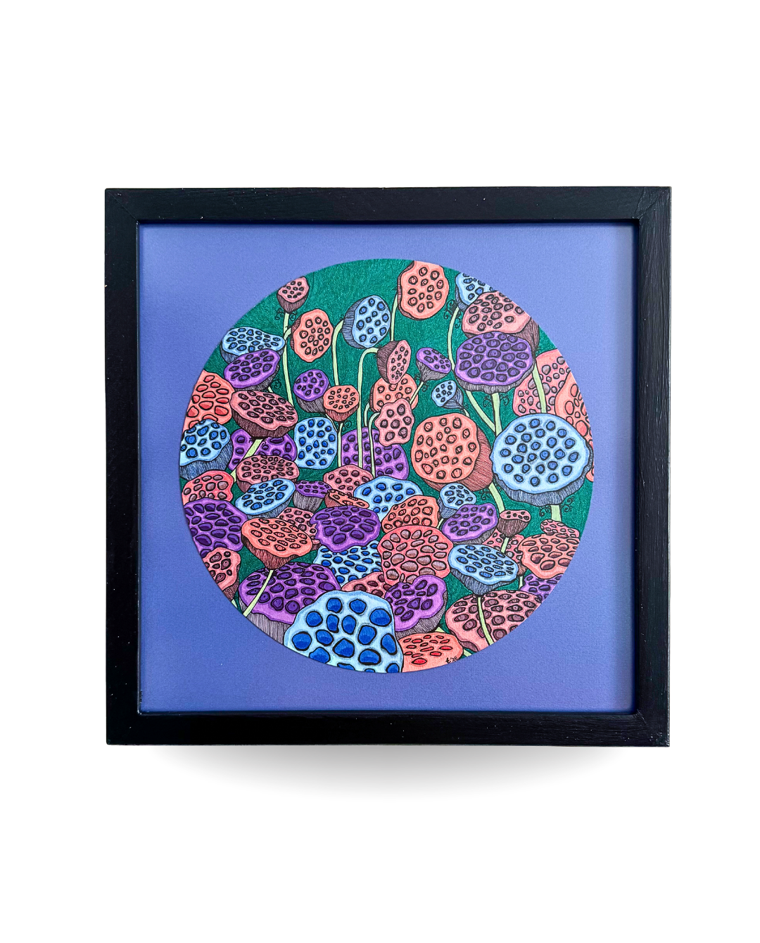 Lotus Pods 32.5x32.5cm Archival Ink Drawing by Elif Kemahlıoğlu