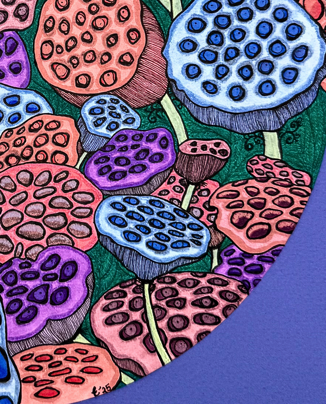 Lotus Pods 32.5x32.5cm Archival Ink Drawing by Elif Kemahlıoğlu