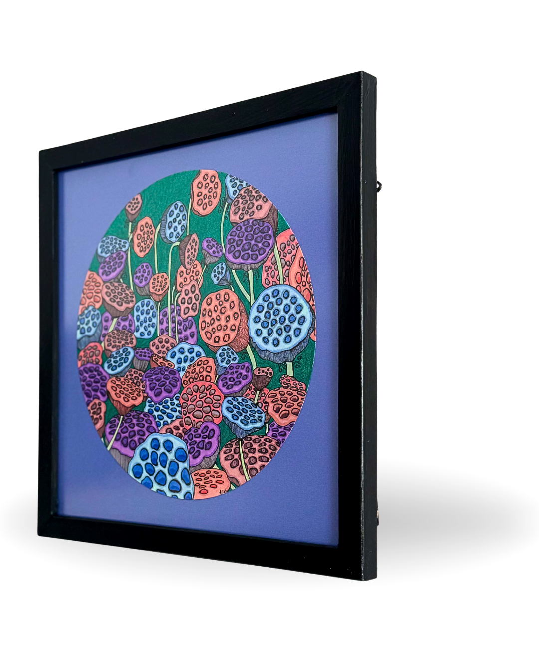 Lotus Pods 32.5x32.5cm Archival Ink Drawing by Elif Kemahlıoğlu