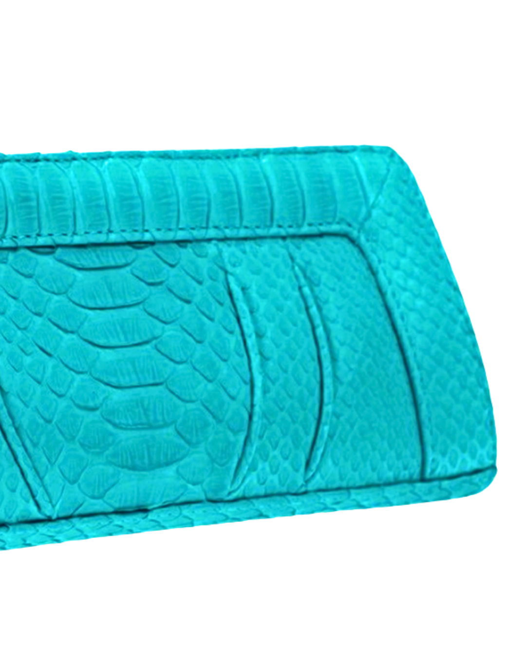 Malibu Italian Python Clutch Handbag