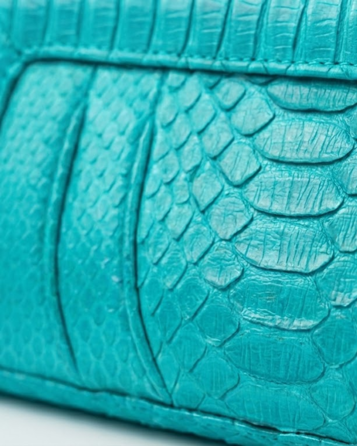 Malibu Italian Python Clutch Handbag