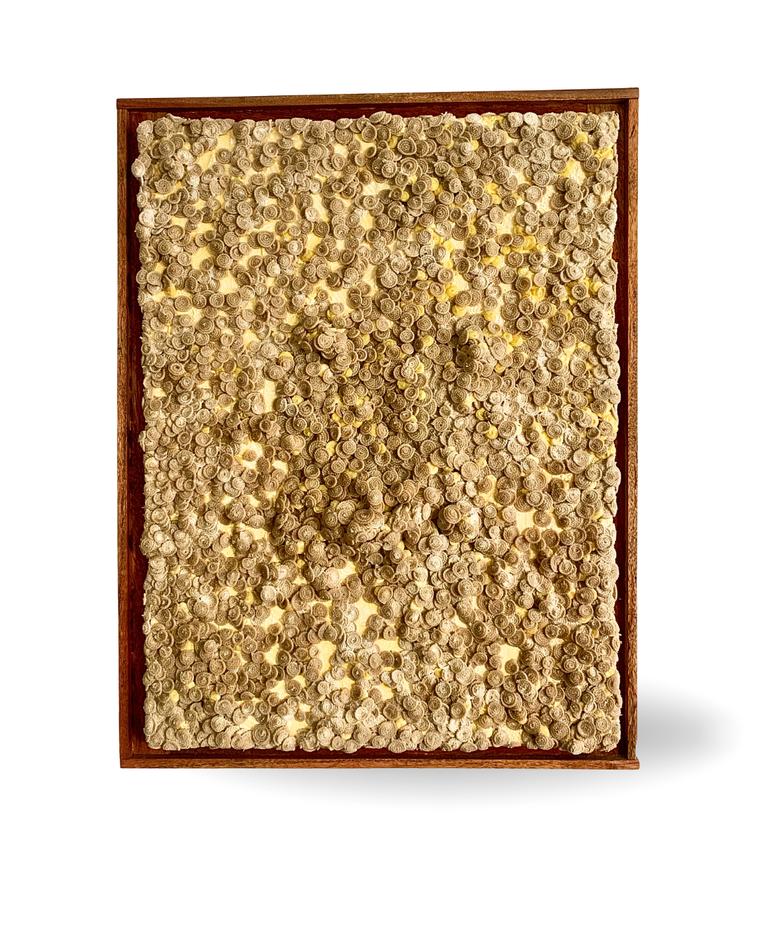 Re-Grown 68x88cm 3D Mixed Media Fiber and Resin Artwork