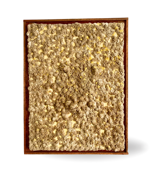 Re-Grown 68x88cm 3D Mixed Media Fiber and Resin Artwork