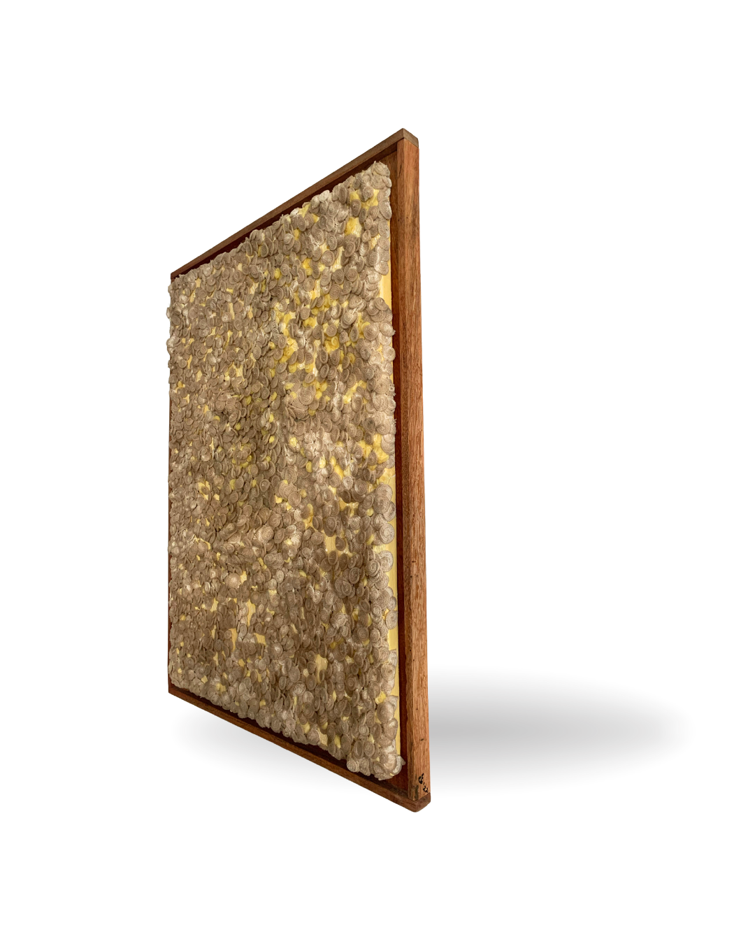 Re-Grown 68x88cm 3D Mixed Media Fiber and Resin Artwork