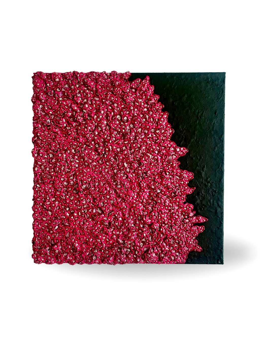 Red Moss 50x50cm 3D Eco-Organic Mixed Media Painting