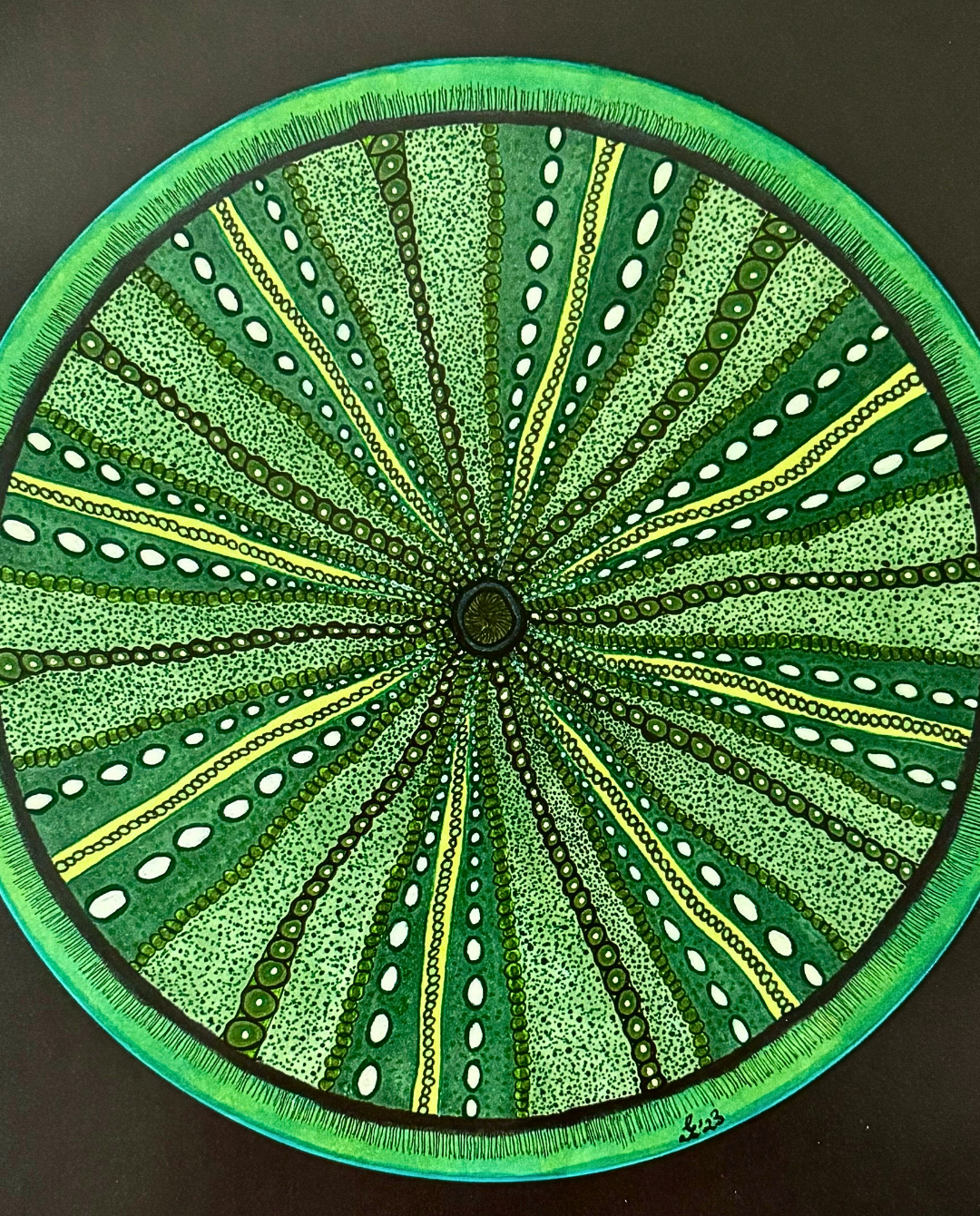 The Urchin 31.5x31.5cm Neo-Organic Marine-Inspired Drawing