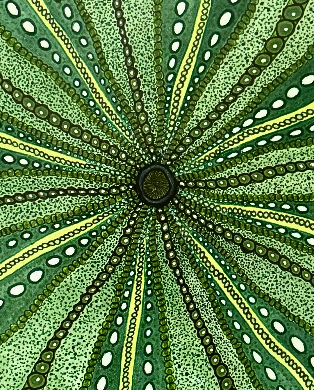 The Urchin 31.5x31.5cm Neo-Organic Marine-Inspired Drawing