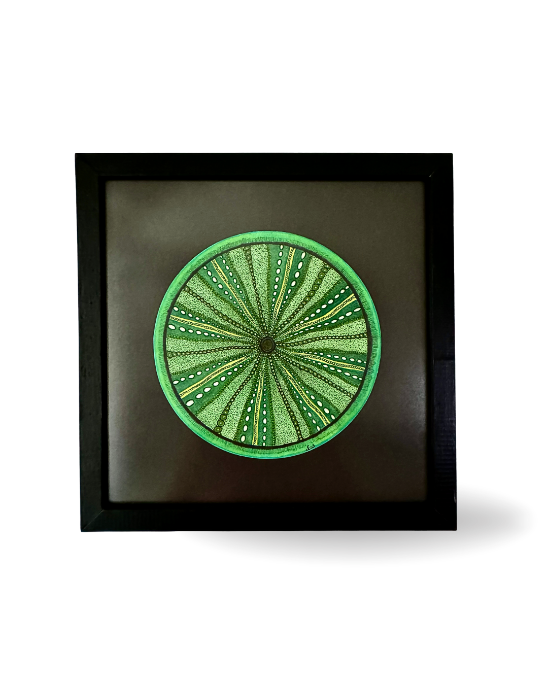 The Urchin 31.5x31.5cm Neo-Organic Marine-Inspired Drawing